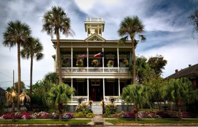 white painted house with green palm trees in the front